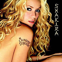 Shakira - Laundry Service cover